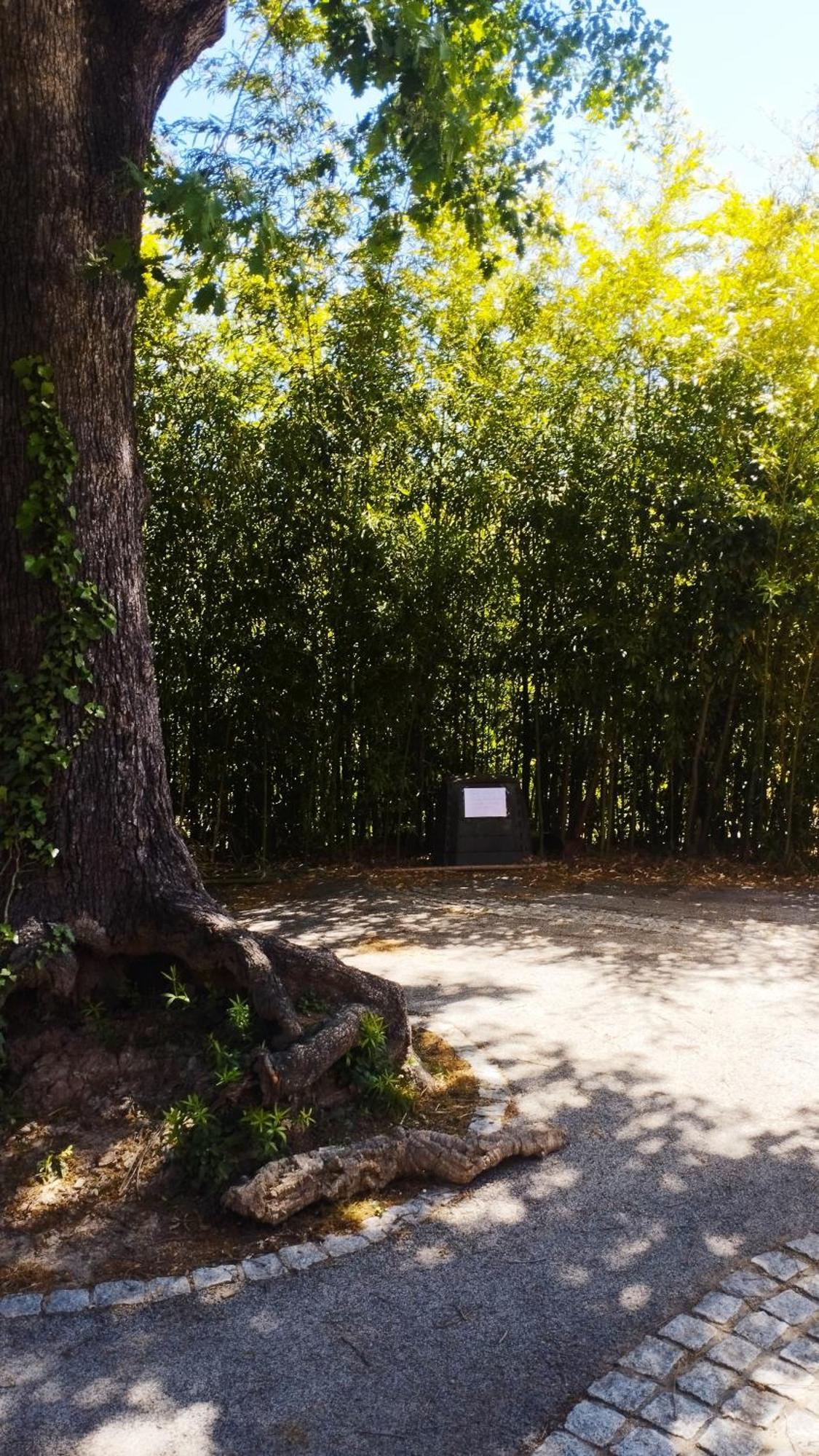Studio 1 Etoile Paisible,4 Couchages,Jardin Prive 雷阿德雷德雷斯泰勒 外观 照片